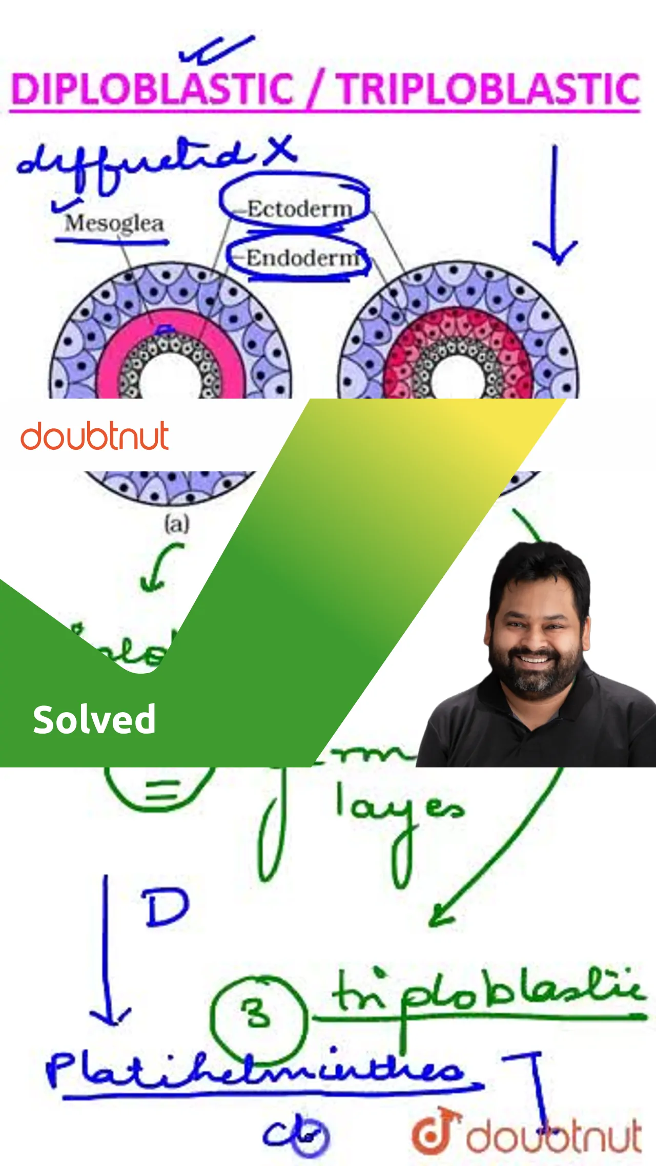 Diploblastic vs Triploblastic