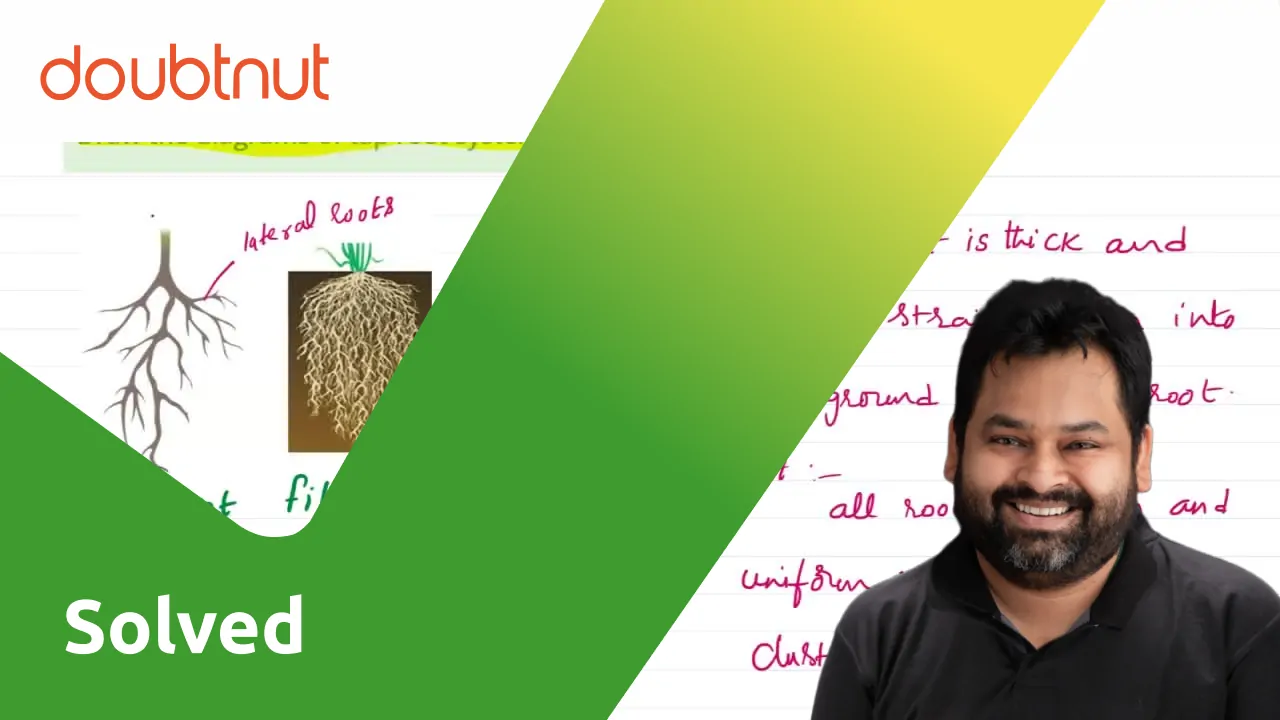 [Telugu] Draw the diagrams of tap root system and fibrous root system