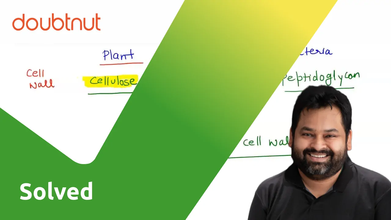 What Is The Chemical Composition Of Cell Wall In Plant And Fungi Respectively