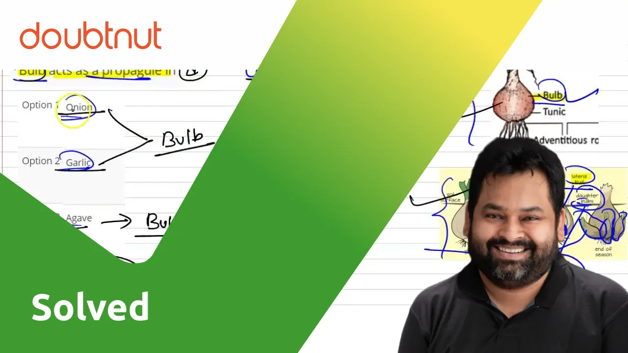 [Bengali Solution] Bulb acts as a propagule in