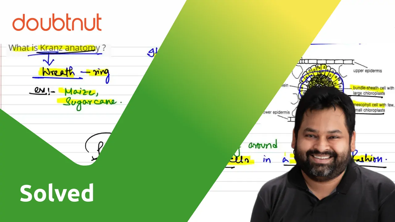  Bengali Solution What Is Kranz Anatomy