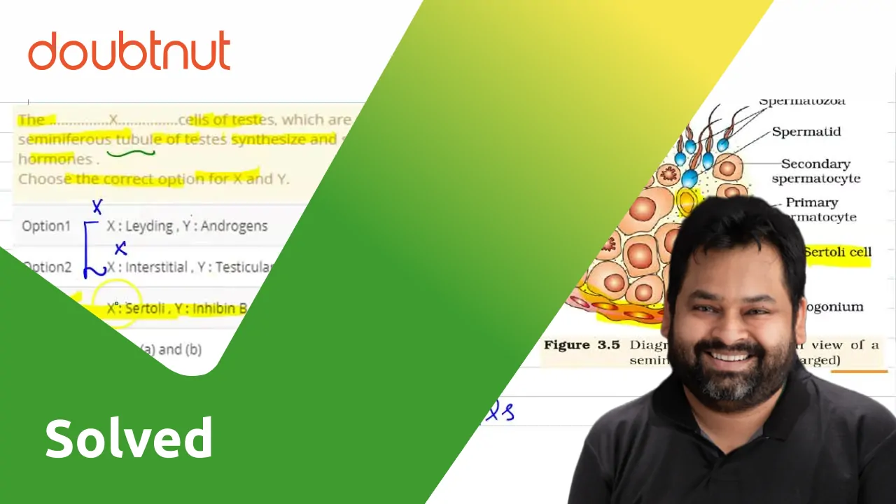 The ……………X……………cells of testes, which are present inside the seminifer