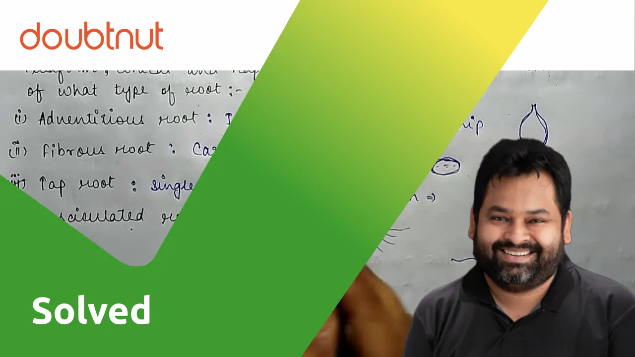 Fusiform. Conical and napiform root are the modification of what type