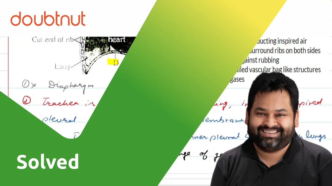 A trachea long tube supported by complete cartilaginous rings for co