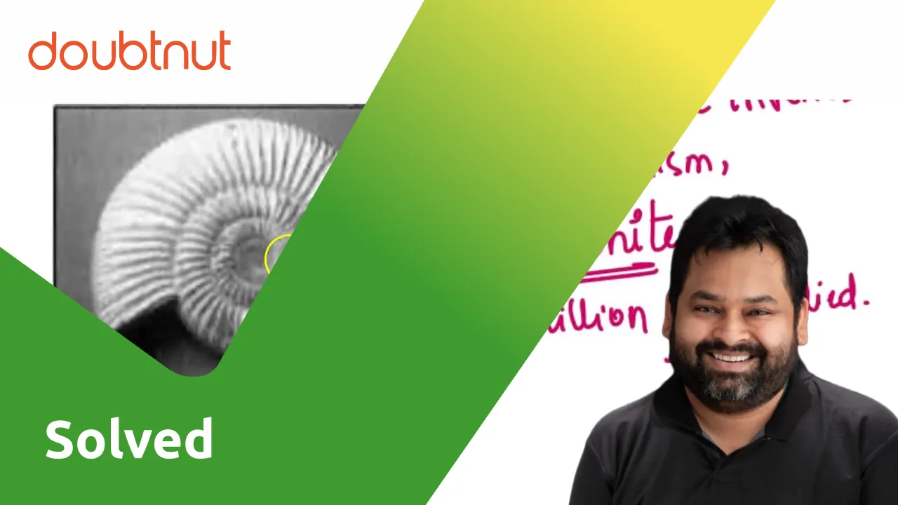 [Kannada] Name the fossil shown is the figure below