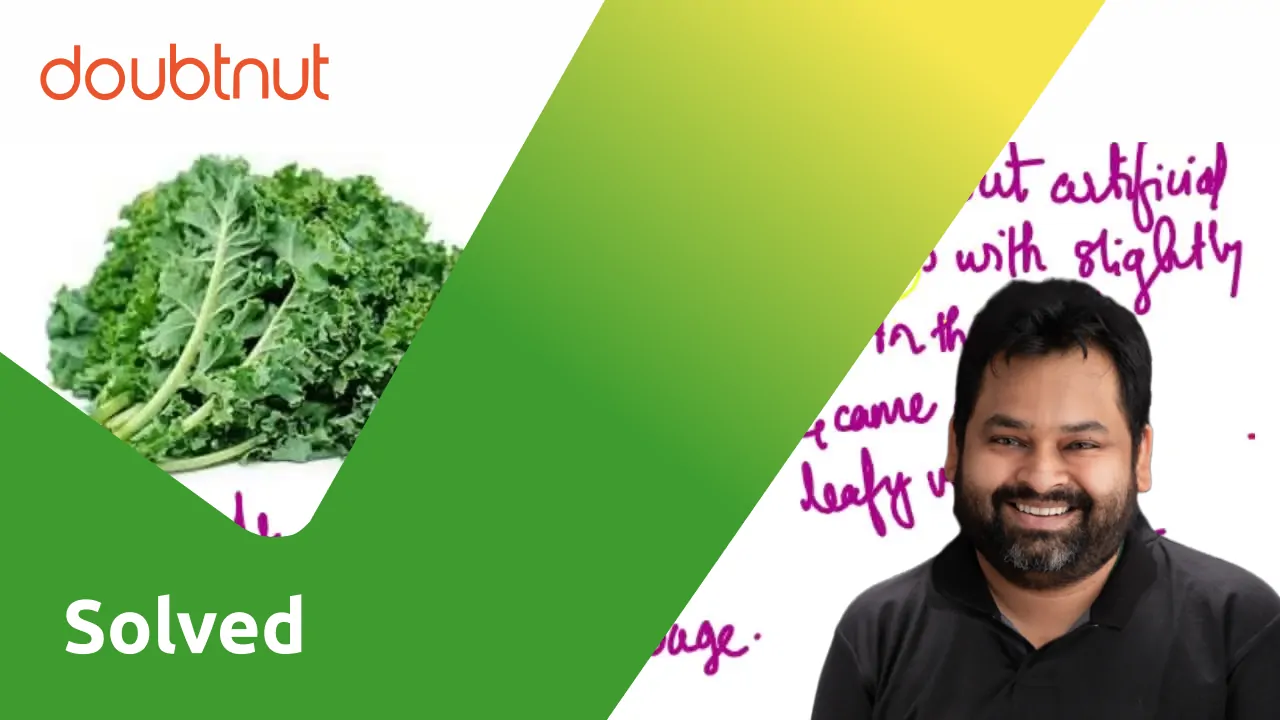 [Kannada Solution] How was the vegetable kale obtained from cabbage?