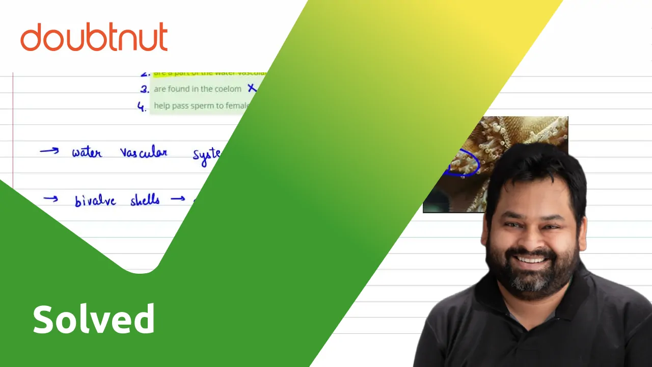 The tube feet of echinoderms