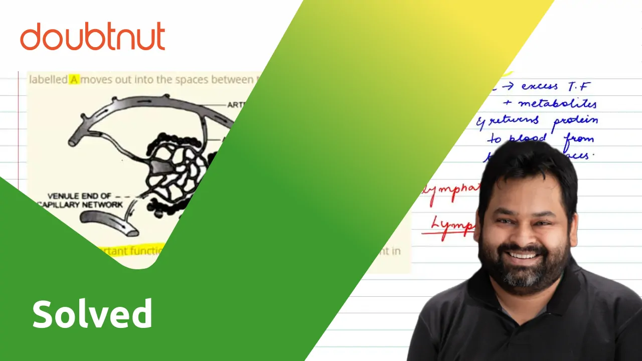 The diagram given below shows part of the capillary bed in an organ of