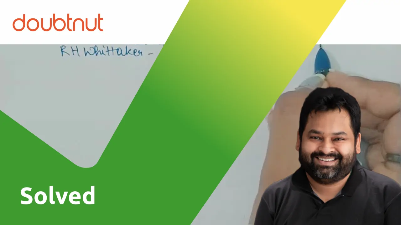 What are Archaebacteria?