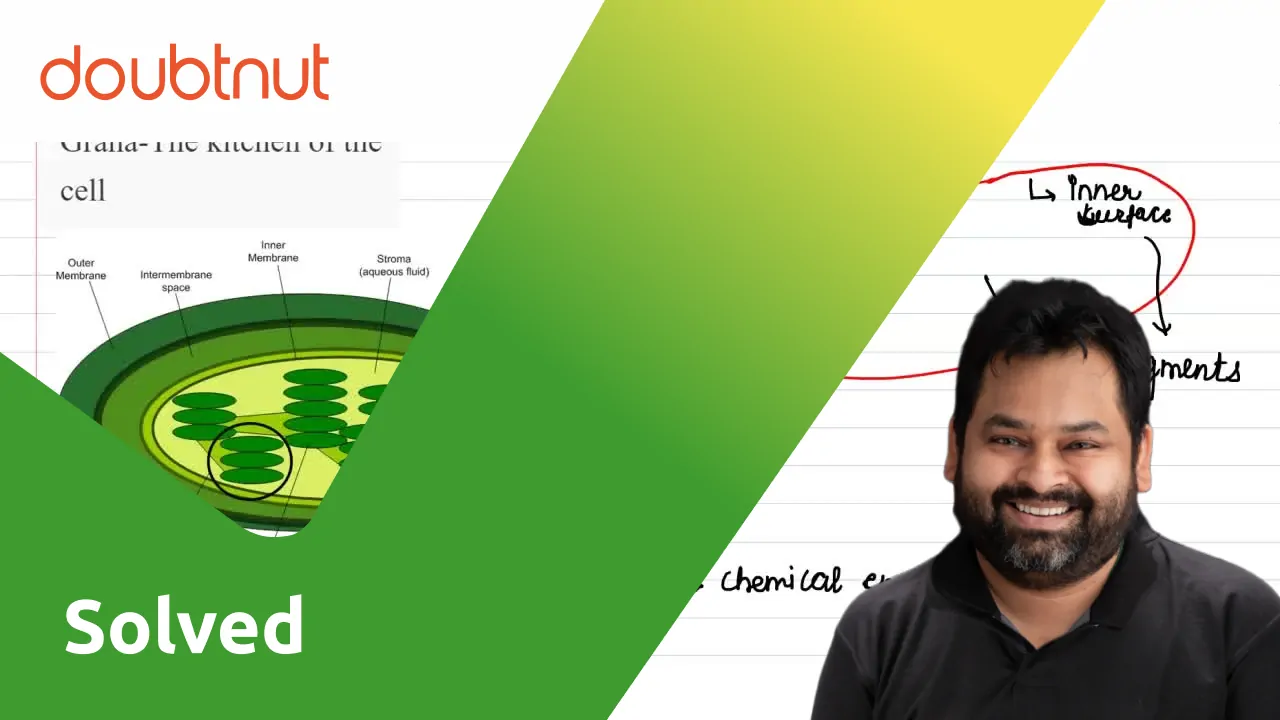 GranaThe kitchen of the cell