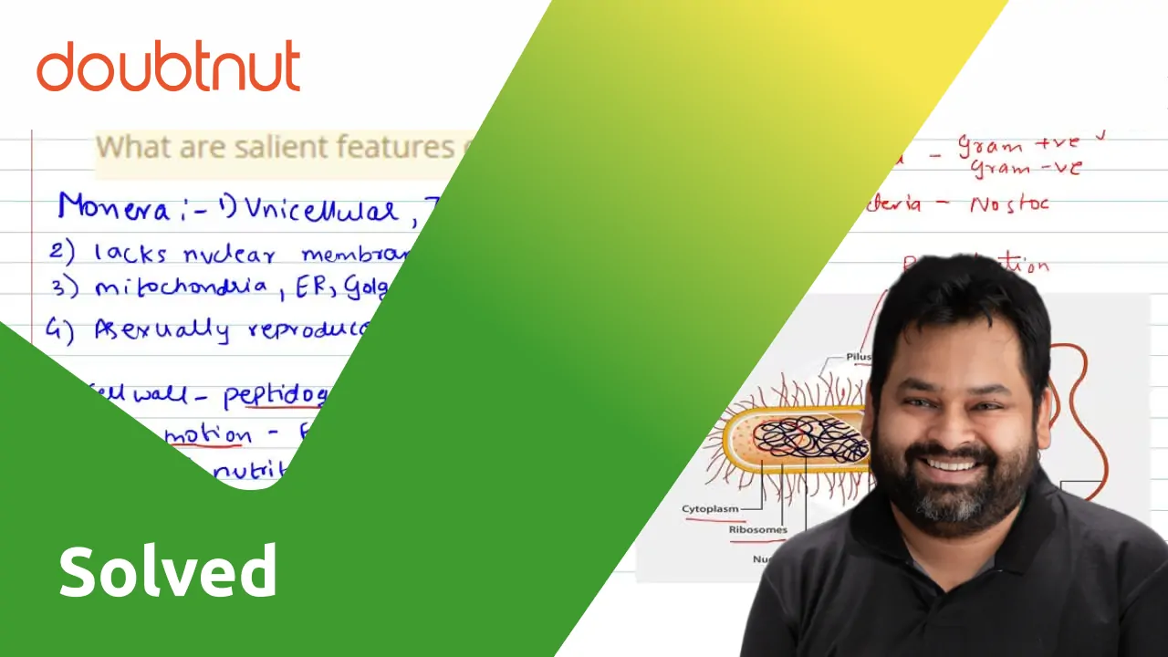 What are salient features of Monera?