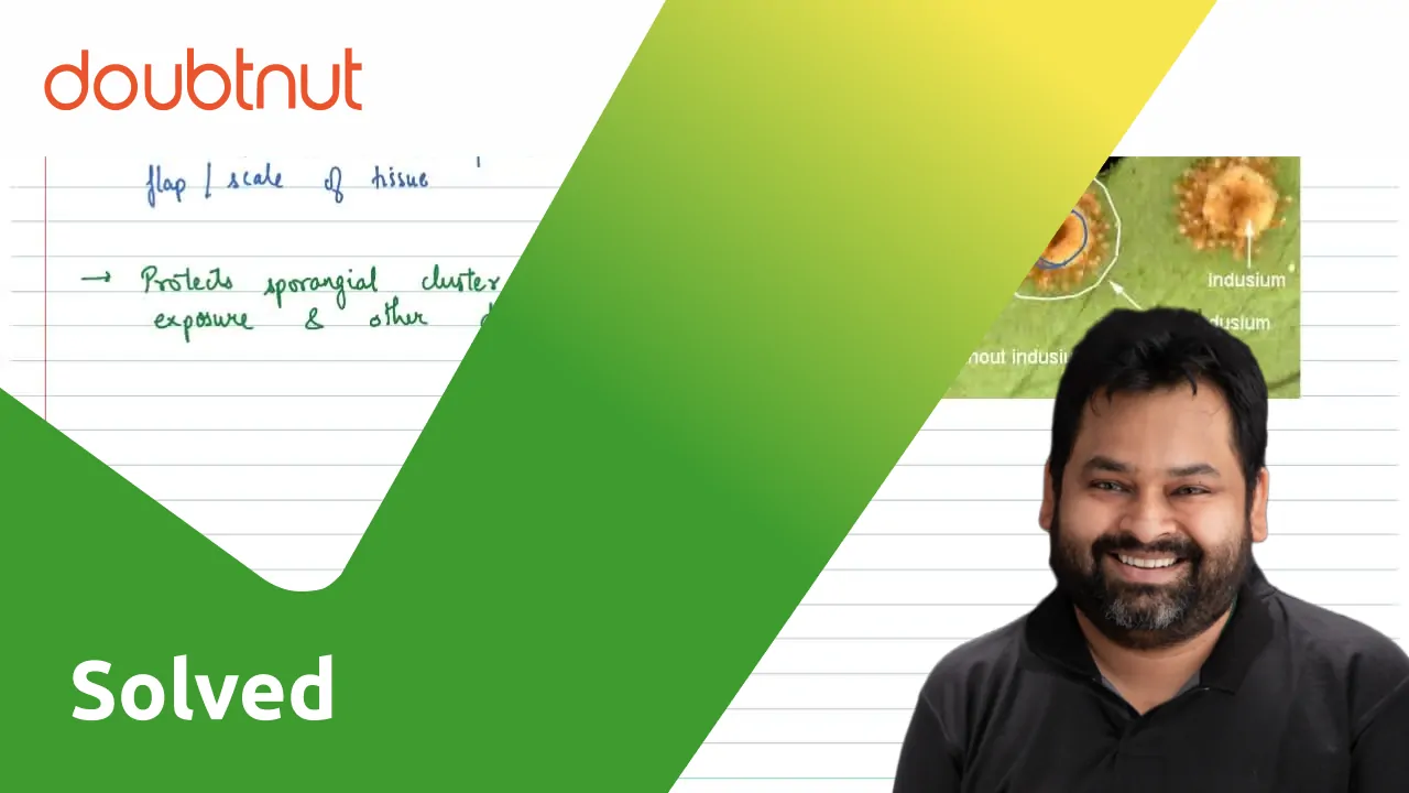 Write Short Note On Indusium 