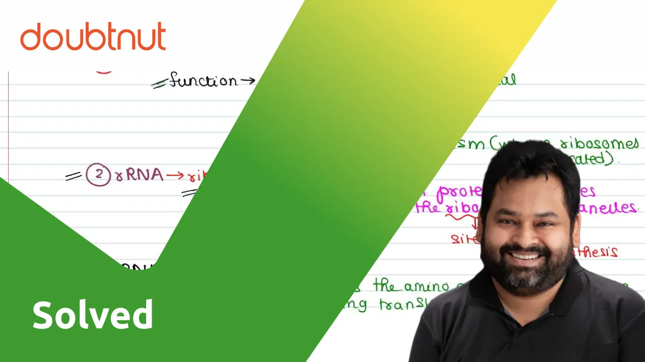 bengali-mention-three-types-of-rna-and-their-functions