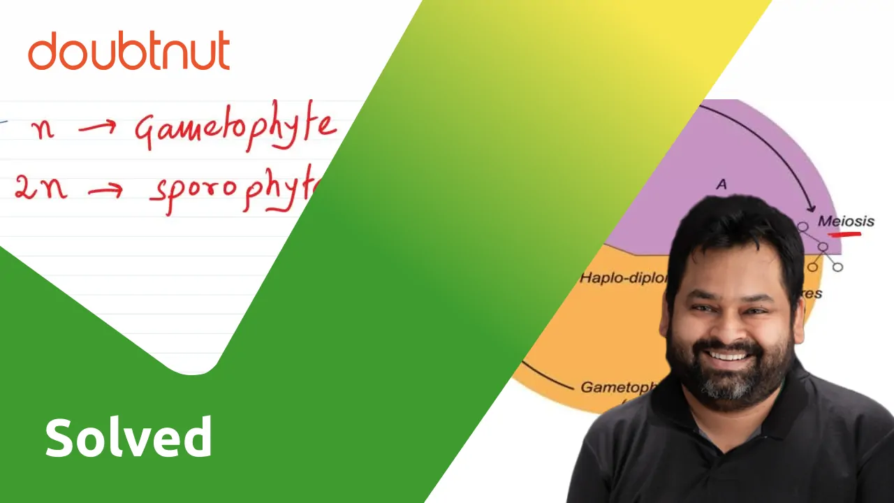 bengali-solution-briefly-explain-haplo-diplontic-life-cycle-in-bryob