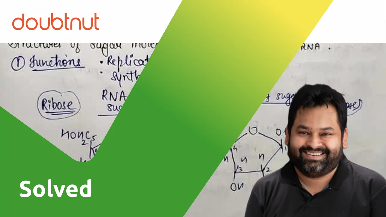 what-are-the-functions-of-nucleic-acids-what-are-the-structures-of-s