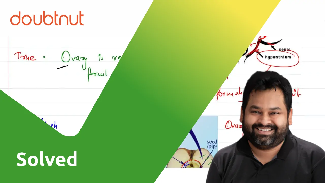 Why is apple called a false fruit? Which part(s) of the flower forms t