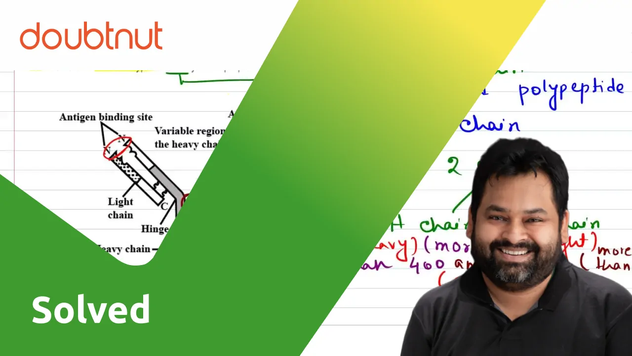 [Bengali Solution] State the main features of a typical antibody with