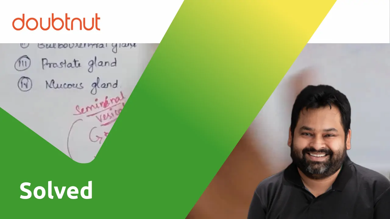 [Tamil] The glandular accessory organ which produces the largest propo