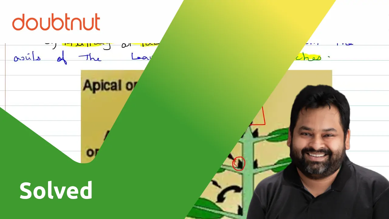 [Tamil Solution] Define bud. Explain the types of buds based on locati