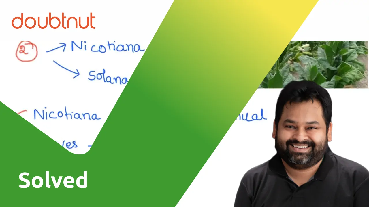 [Tamil Solution] Tobacco is obtained from the Tobacco plant.......