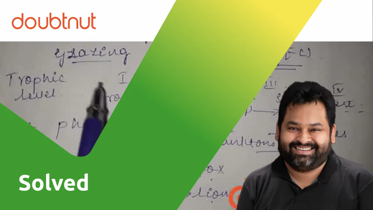 [Kannada] Name the type of food chain that is the major conduit for en