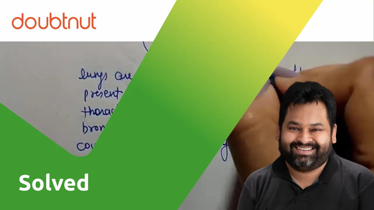 [Punjabi Solution] Write a short note on human lungs.