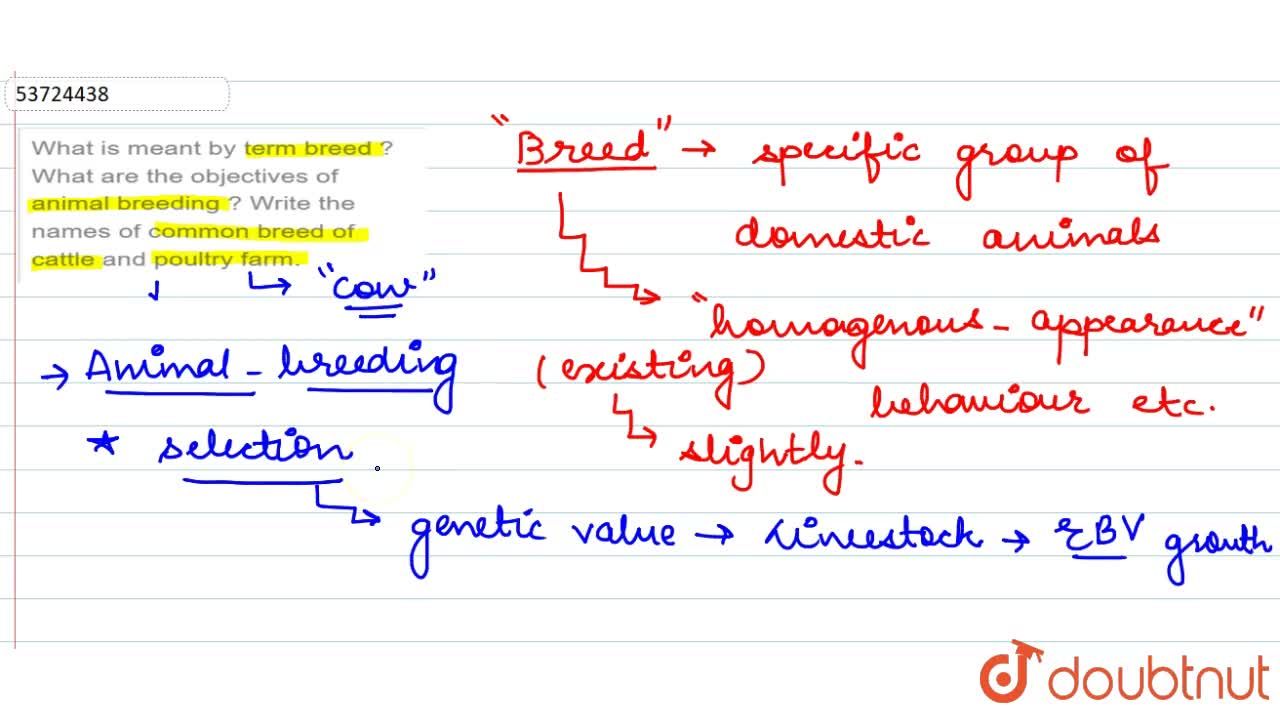 What Are The Objectives Of Animal Breeding