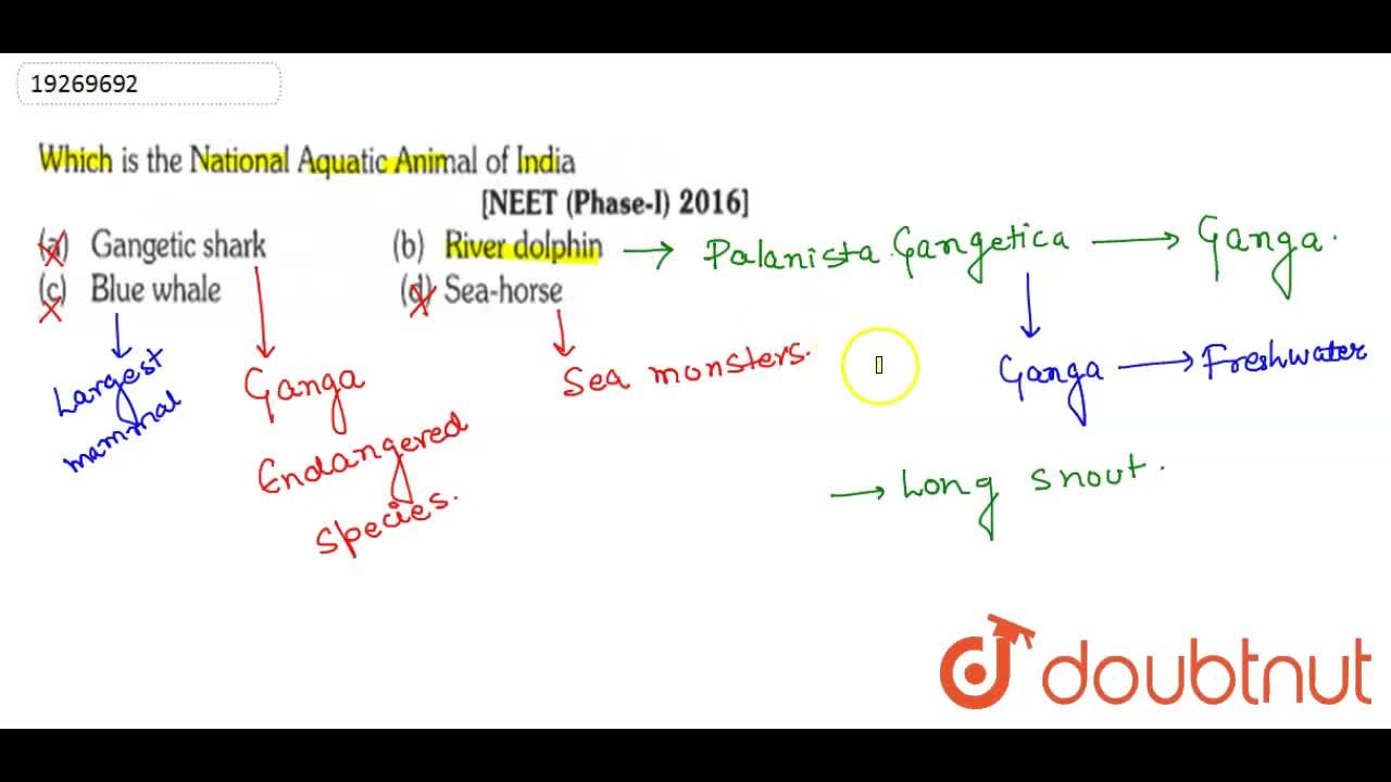 Which is the National Aquatic Animal of India Which is the National Aquatic Animal of India