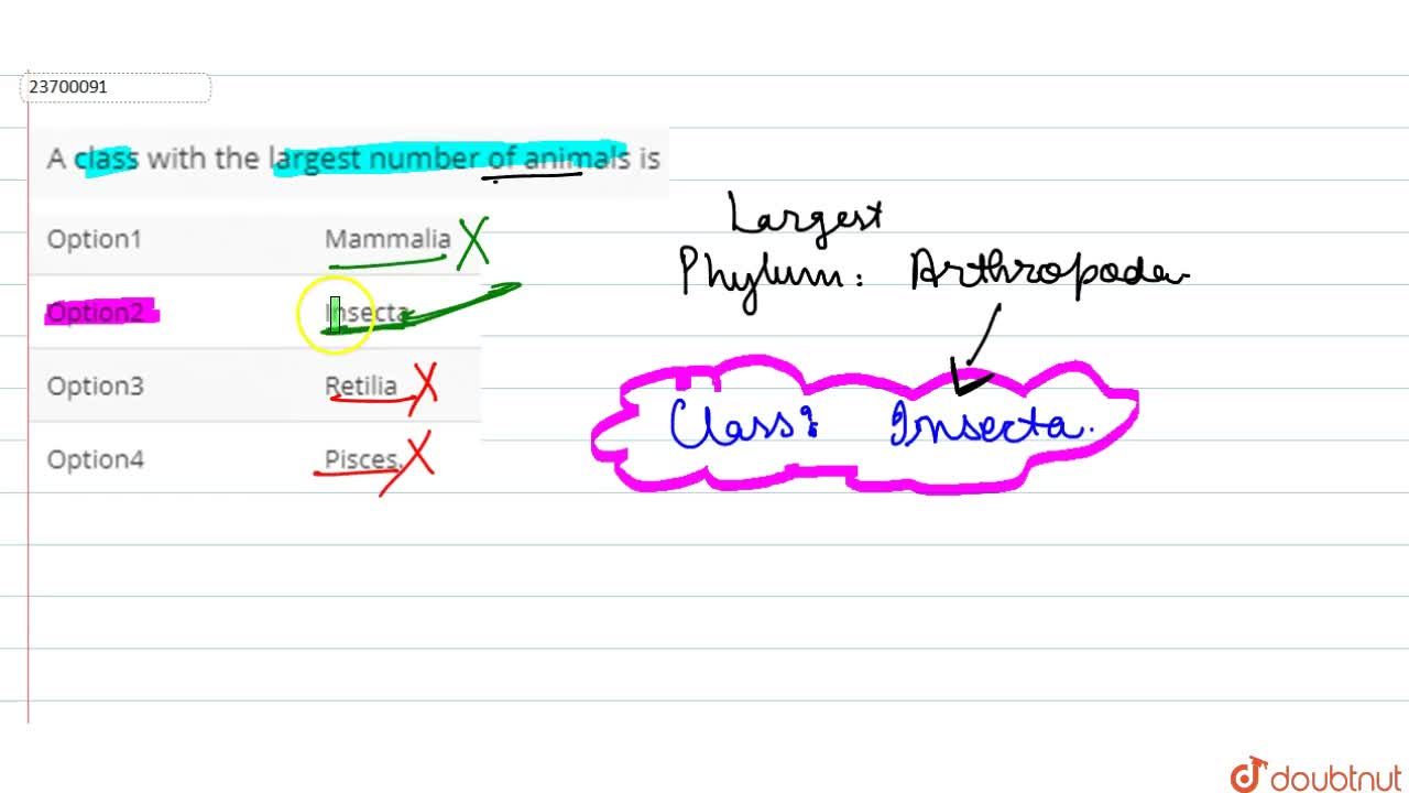 A class with the largest number of animals is A class with the largest number of animals is