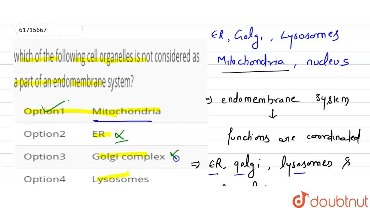 Which Of The Following Cell Organelles Is Not Considered As A Part Of An Endomembrane  System? Which Of The Following Cell Organelles Is Not Considered As A Part Of An Endomembrane  System?