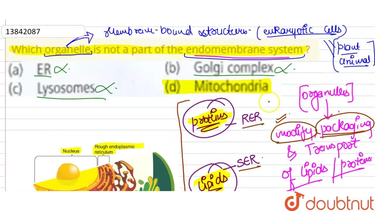 Which Organelle Is Not A Part Of The Endomembrane System ? Which Organelle Is Not A Part Of The Endomembrane System ?
