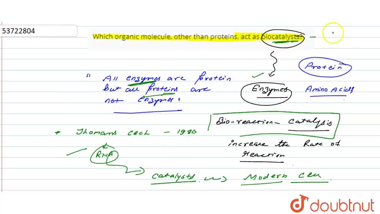 Which Organic Molecule, Other Than Proteins, Act As Biocatalysts? Which Organic Molecule, Other Than Proteins, Act As Biocatalysts?