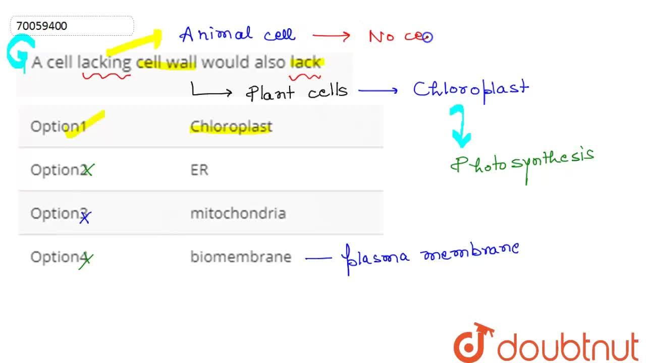 A cell lacking cell wall would also lack