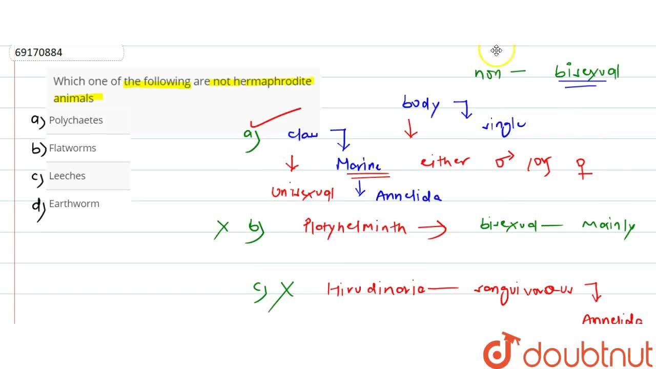 Which one of the following are not hermaphrodite animals Which one of the following are not hermaphrodite animals