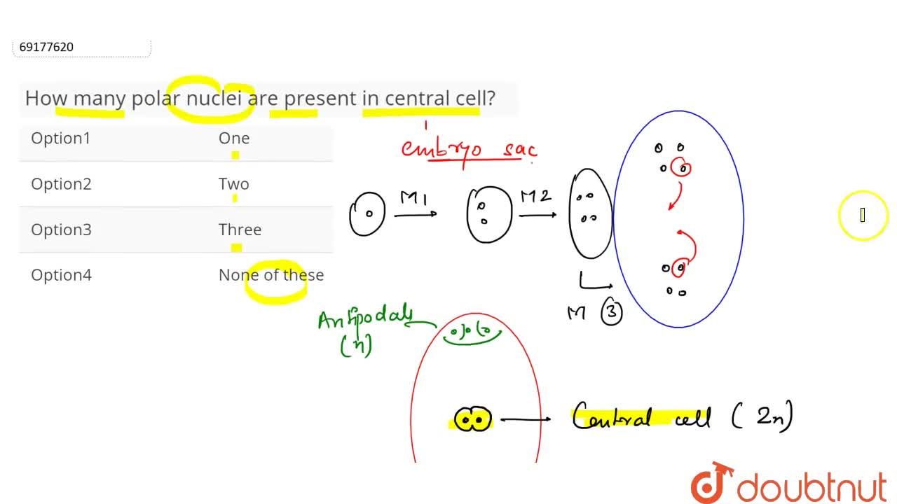 polar nuclei