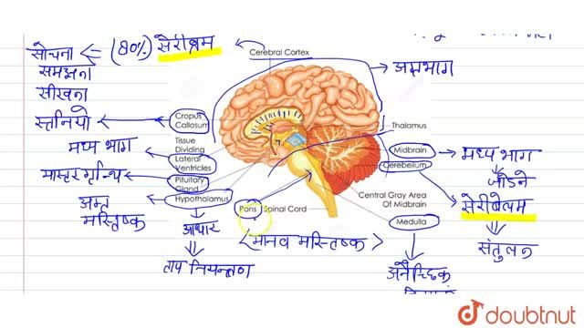 Piyush Granthi Sthit Hoti Hai