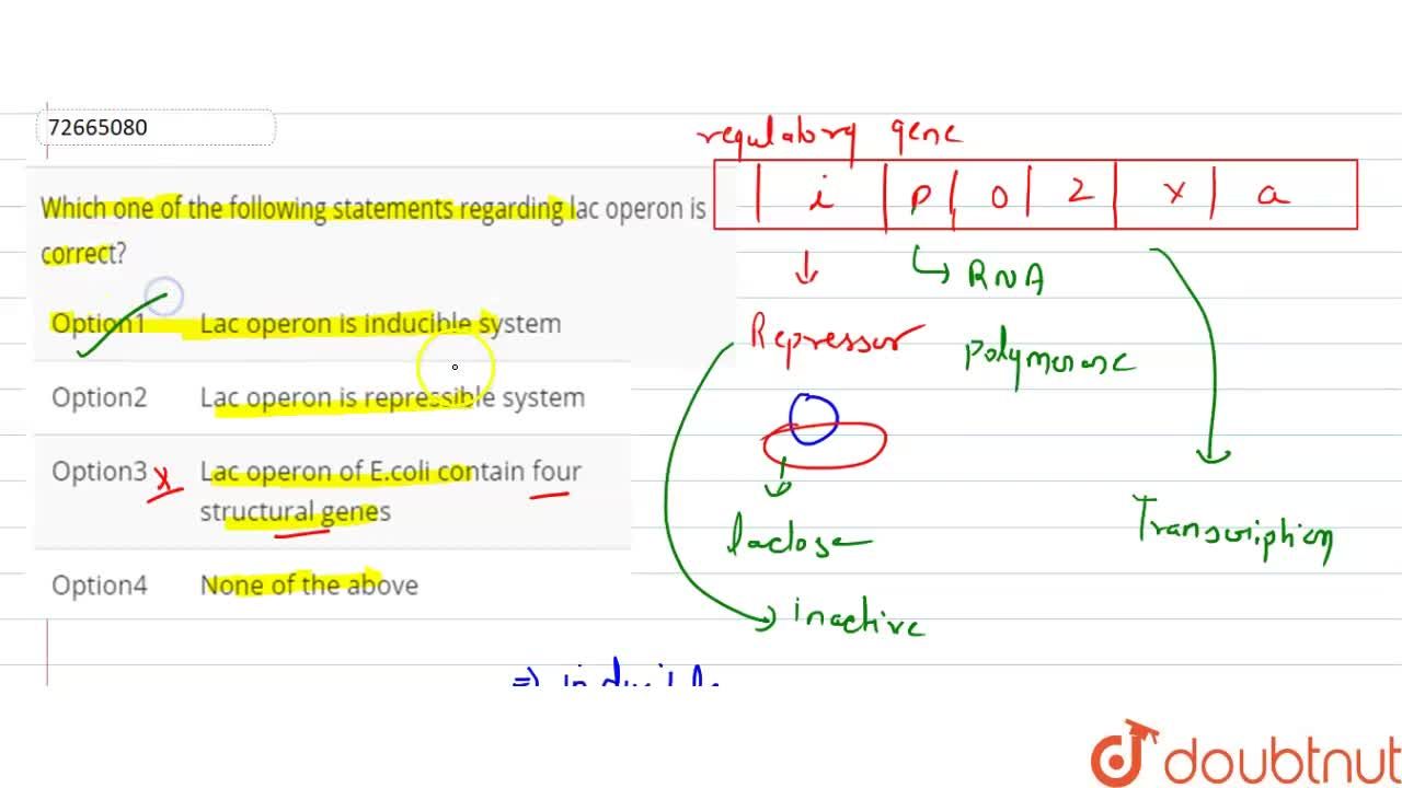 Which One Of The Following Statements Regarding Lac Operon Is Correct? Which One Of The Following Statements Regarding Lac Operon Is Correct?