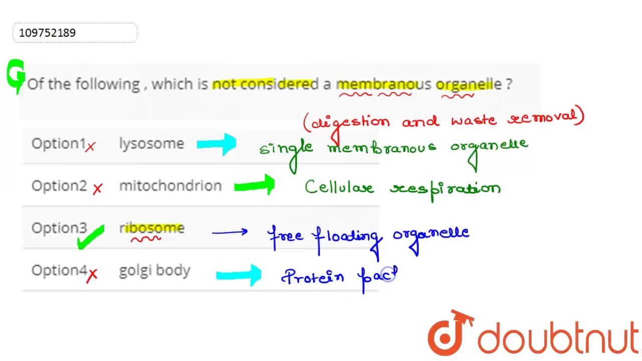 Of The Following , Which Is Not Considered A Membranous Organelle ? Of The Following , Which Is Not Considered A Membranous Organelle ?