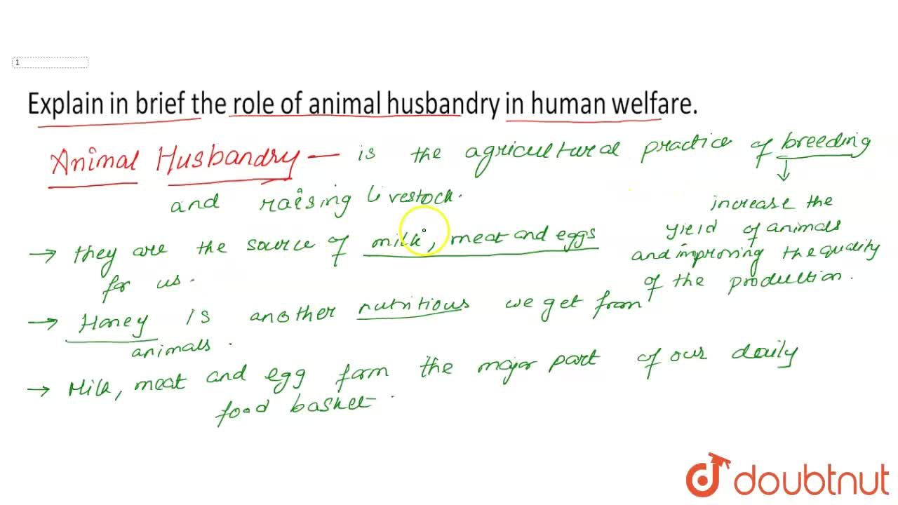 Explain in brief the role of animal husbandry in human welfare.