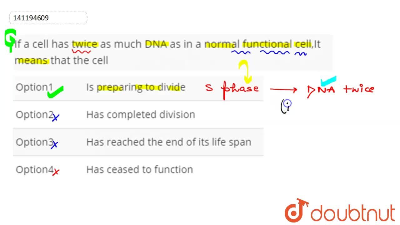 If A Cell Has Twice As Much Dna As In A Normal Functional Cell It Means That The Cell