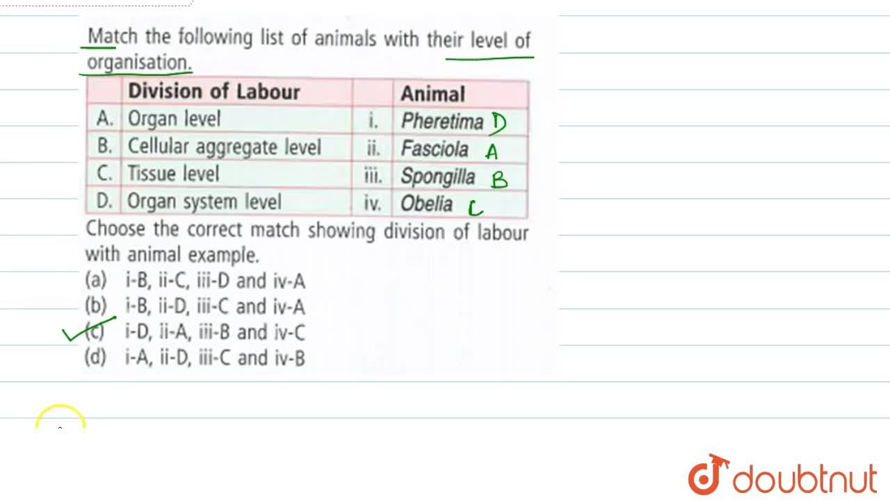 Match the following list of animals with their level of organisation.  {:(