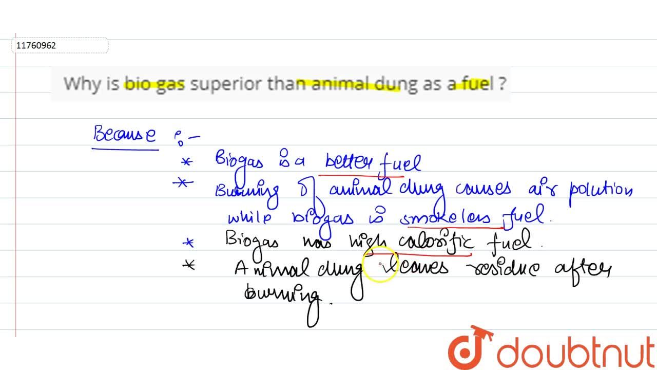 Why is biogas superior or animal dung as a fuel ?