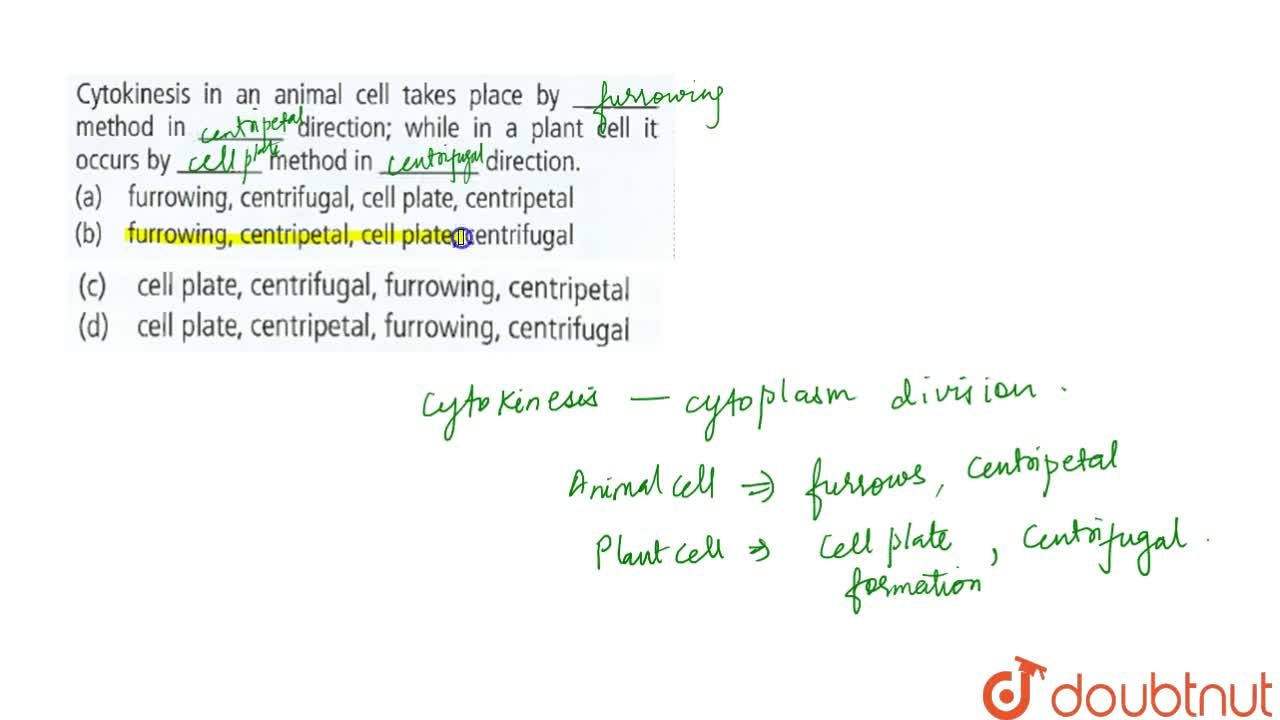 cell plate, centrigu,furrowing, centripetal cell plate, centrigu,furrowing, centripetal