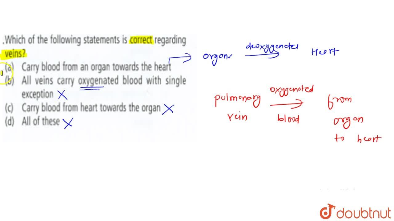 Which Of The Following Statements Is Correct Regarding Veins ? Which Of The Following Statements Is Correct Regarding Veins ?