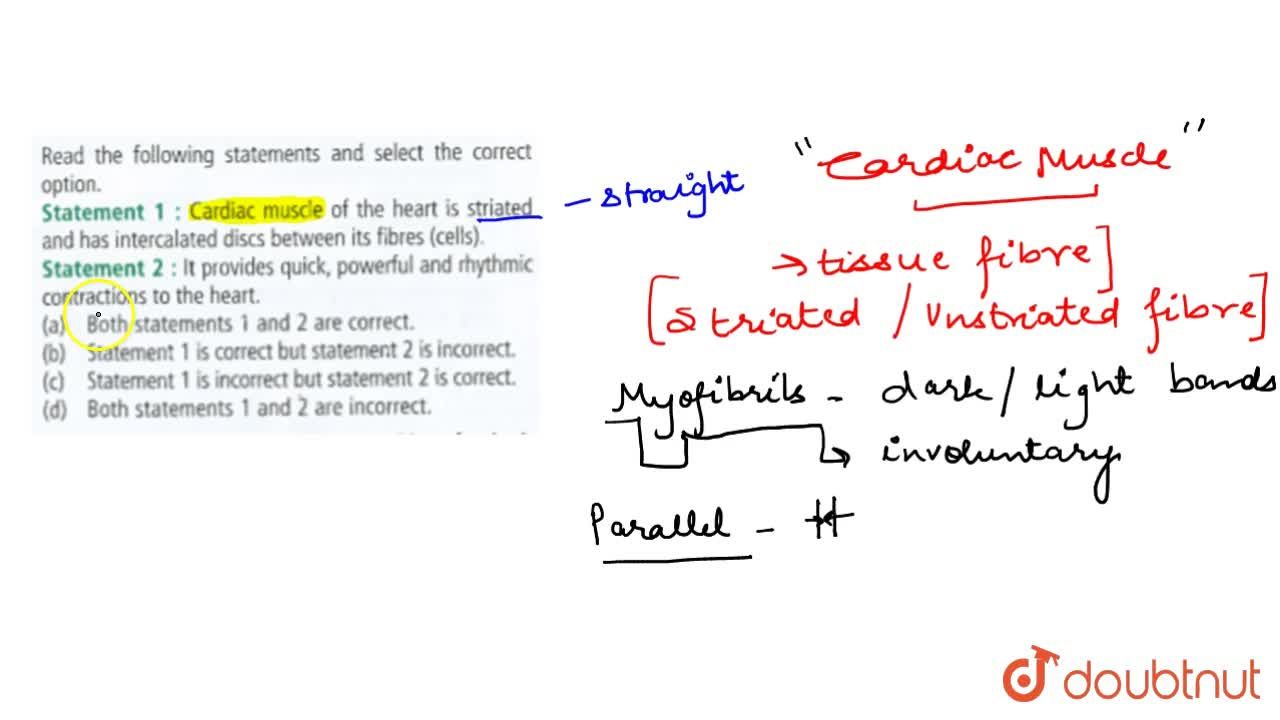 Both Statement 1 And 2 Correct Both Statement 1 And 2 Correct