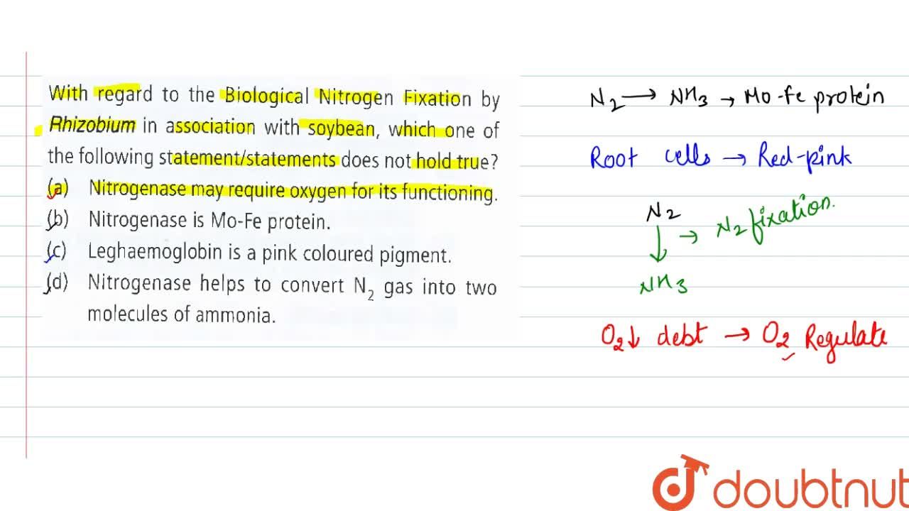Nitrogenase May Require Oxygen For Its Functioning Nitrogenase May Require Oxygen For Its Functioning