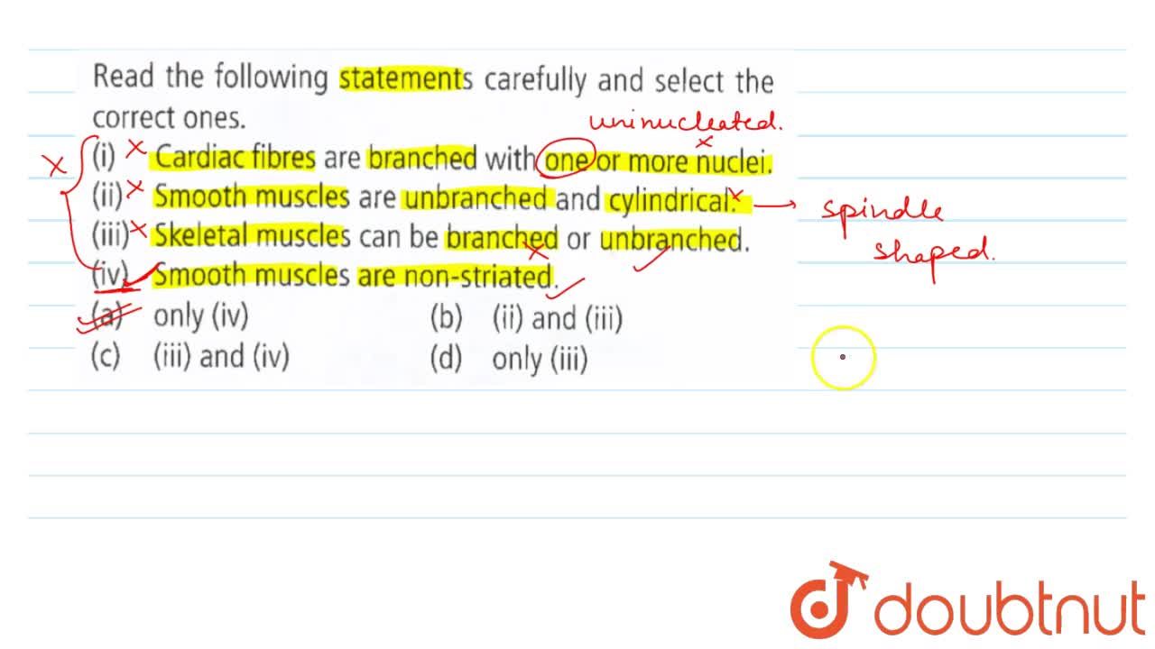 Read The Following Statements Carefully And Select The Correct Ones.  Cardiac Fibres Are Branched With One Or More Nuclei. (Ii) Smooth Muscles Are  Unbranched And Cylindrical. (Iii) Skeletal Muscle Can Be Branched Read The Following Statements Carefully And Select The Correct Ones.  Cardiac Fibres Are Branched With One Or More Nuclei. (Ii) Smooth Muscles Are  Unbranched And Cylindrical. (Iii) Skeletal Muscle Can Be Branched