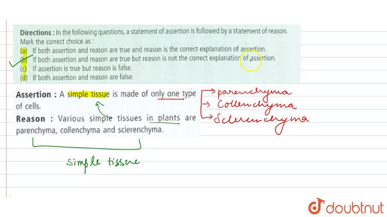 simple tissue in plants