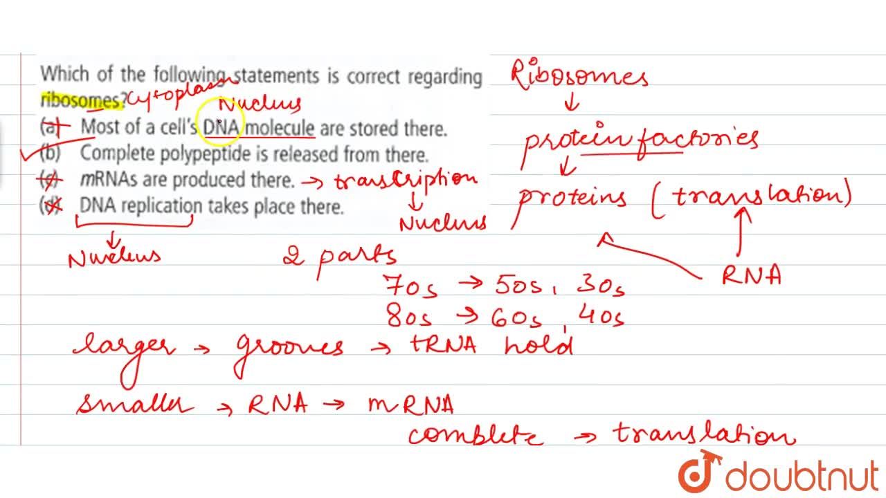 Which Of The Following Statement Is Correct Regarding Ribosomes ? Which Of The Following Statement Is Correct Regarding Ribosomes ?