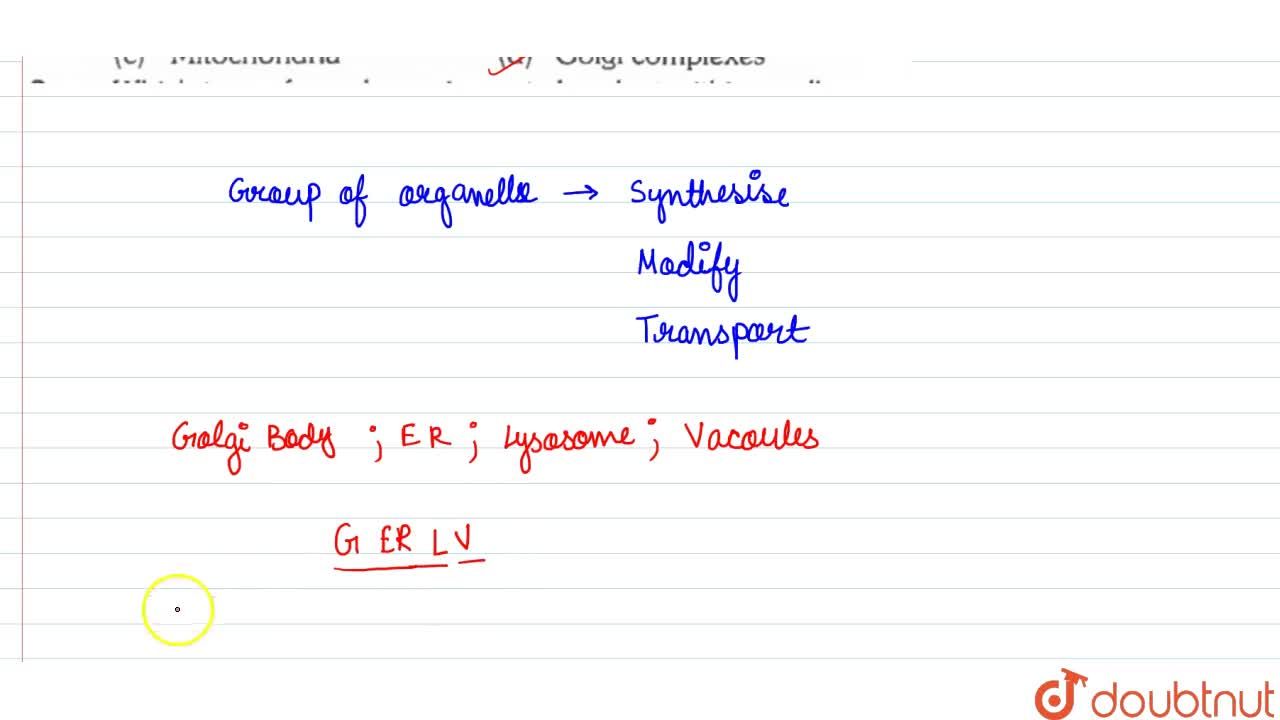 Which Of The Following Is A Part Of Endomembrane System Of Eukaryotic Cell Which Of The Following Is A Part Of Endomembrane System Of Eukaryotic Cell